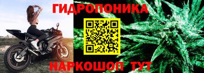сатива Лесосибирск