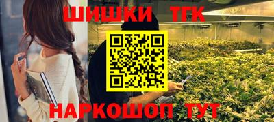 сатива Лесосибирск