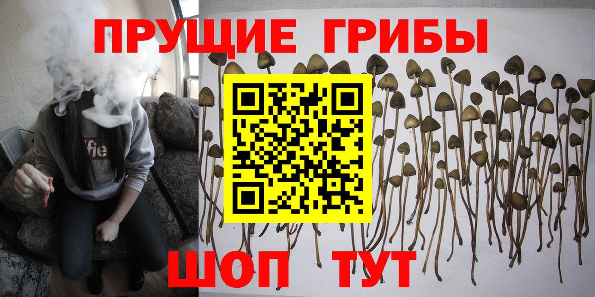 Псилоцибиновые грибы мухоморы Юрга