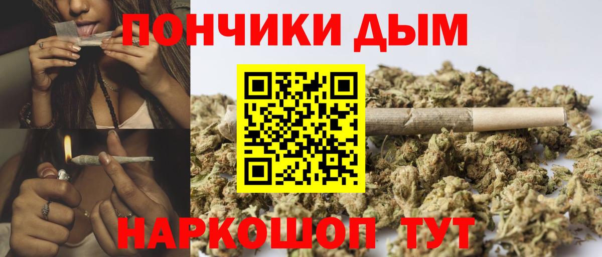 Конопля сатива Юрга
